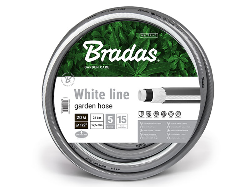 bradas-WL-1